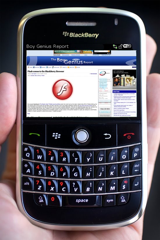 Adobe Flash Player For Blackberry Torch Downloading